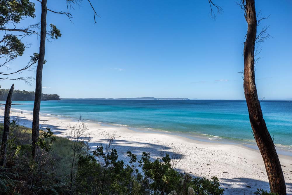 What to Do on Bruny Island for A Day and How to Make the Most of It