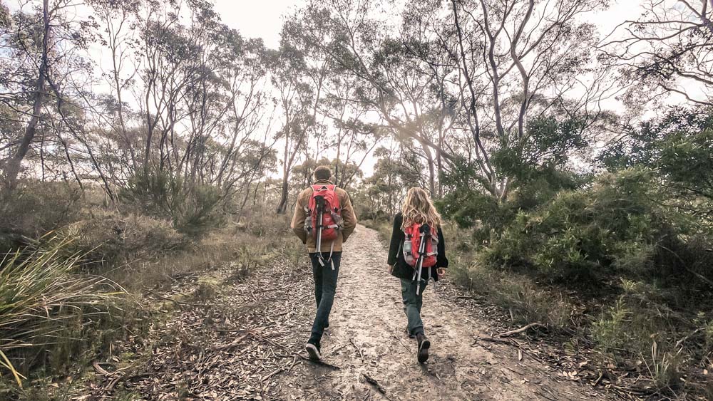 What to See On Bruny Island: Exploring the Best Bruny Island Attractions and Activities